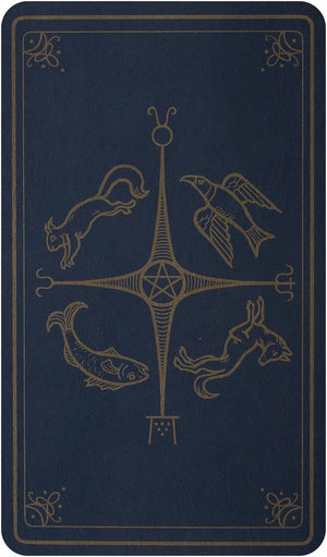 Modern Spellcaster's Tarot: Boxed kit