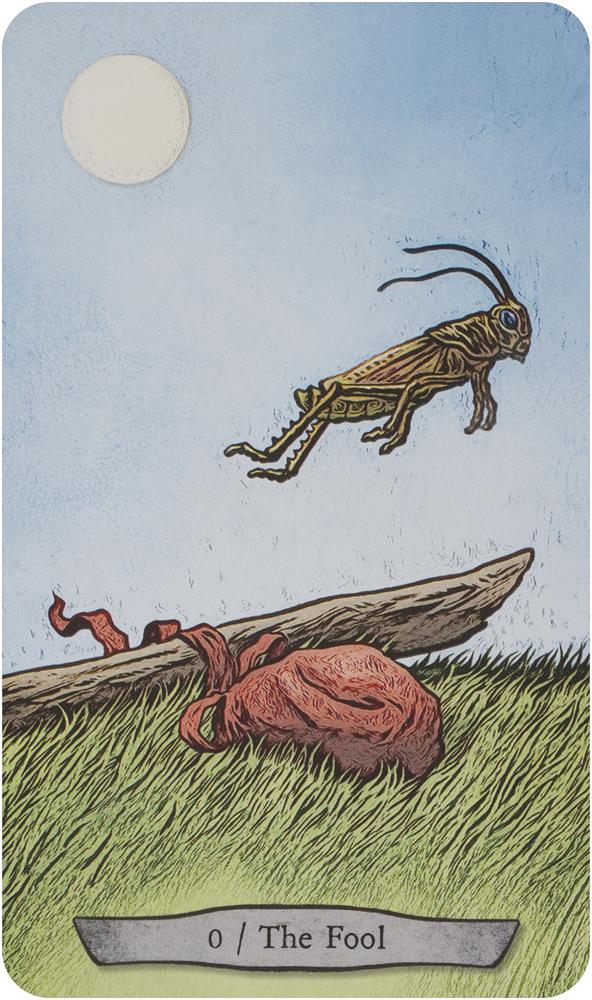 Animal Totem Tarot