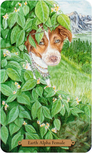 Magical Dogs Tarot