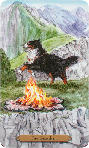 Magical Dogs Tarot