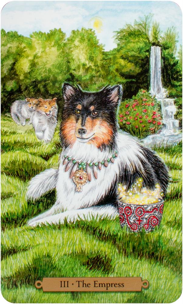 Magical Dogs Tarot