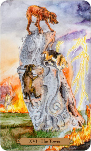 Magical Dogs Tarot