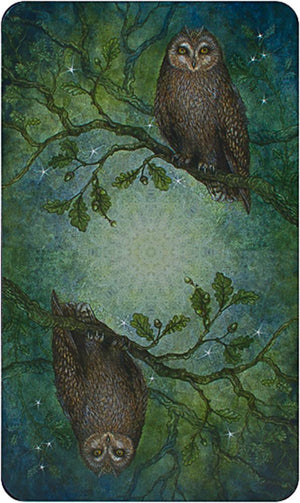 Forest of Enchantment Tarot