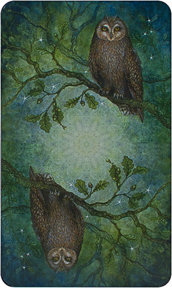 Forest of Enchantment Tarot