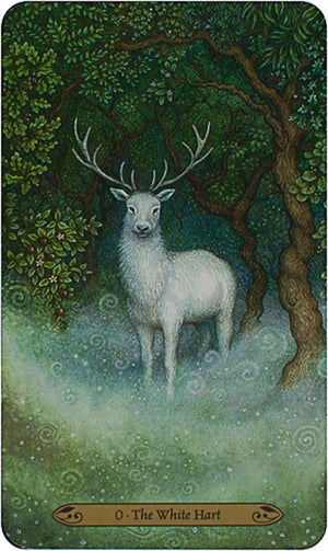 Forest of Enchantment Tarot