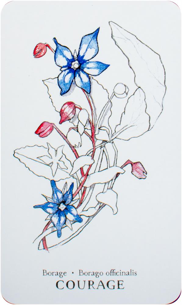 Hedgewitch Botanical Oracle