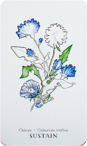 Hedgewitch Botanical Oracle