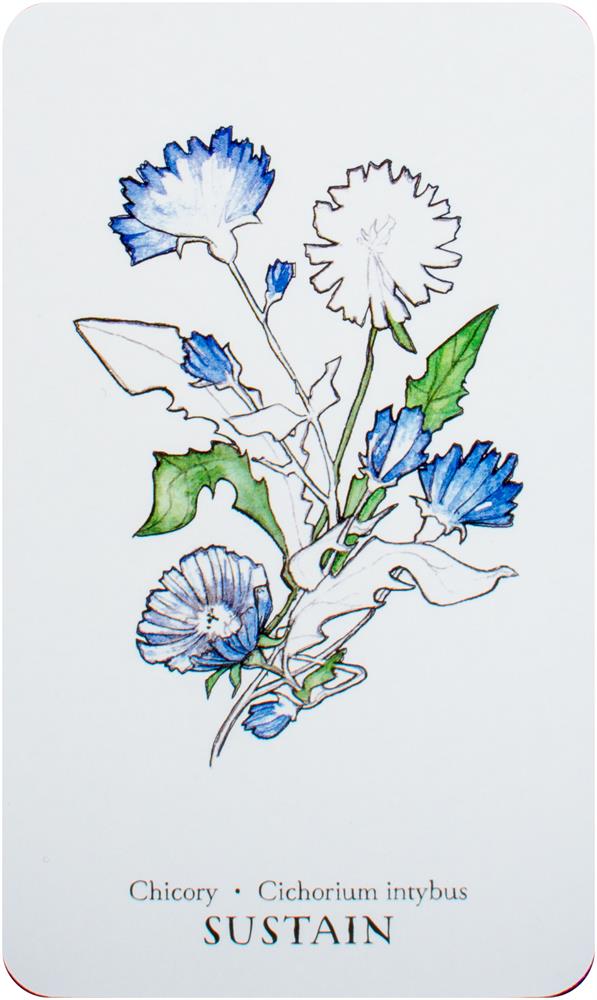 Hedgewitch Botanical Oracle