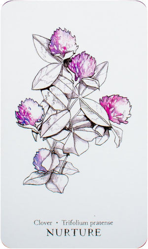 Hedgewitch Botanical Oracle