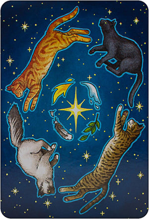 Everyday Witch Oracle Box Kit