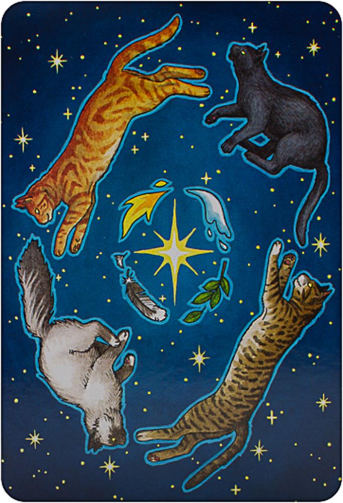 Everyday Witch Oracle Box Kit
