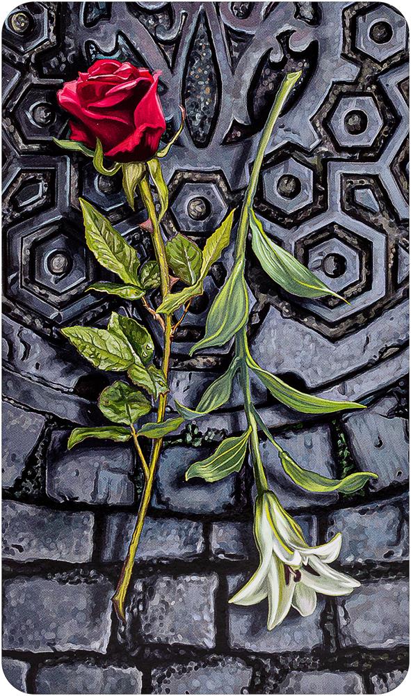 Tarot of the Vampires