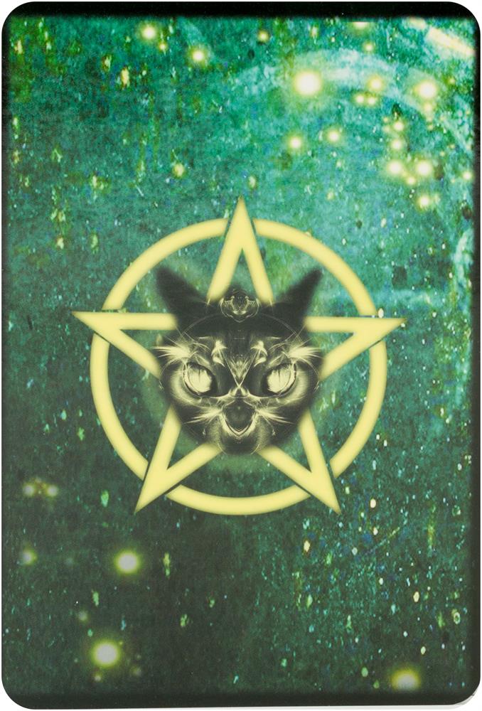 Witches' Familiars Oracle Cards