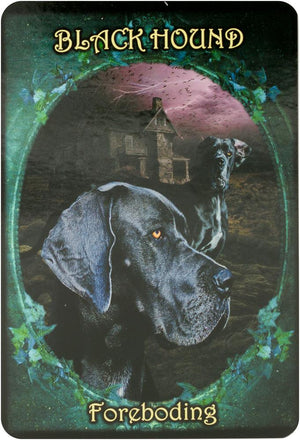 Witches' Familiars Oracle Cards