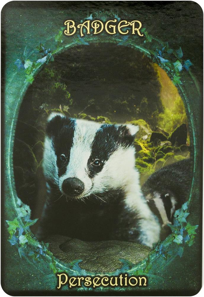 Witches' Familiars Oracle Cards