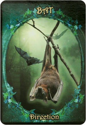 Witches' Familiars Oracle Cards