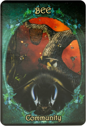 Witches' Familiars Oracle Cards