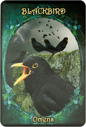 Witches' Familiars Oracle Cards