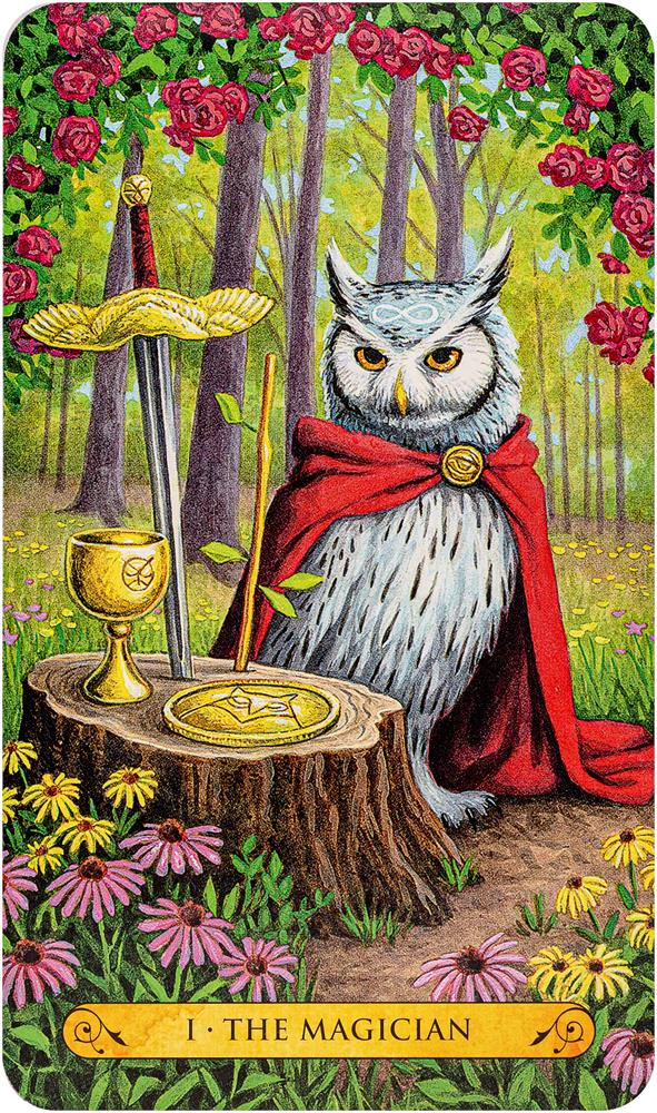 Tarot of the Owls