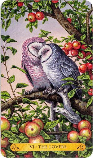 Tarot of the Owls