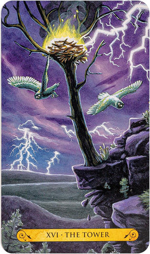 Tarot of the Owls
