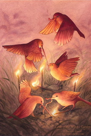 Tarot of the Witch's Garden