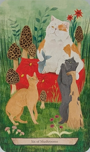 Enchanted Forest Felines Tarot