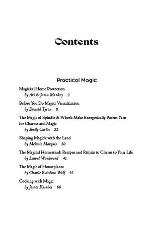 Llewellyn's 2027 Witches' Companion: Community Connection Belonging