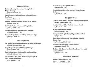 Llewellyn's 2027 Witches' Companion: Community Connection Belonging