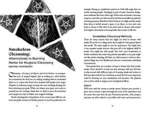 Llewellyn's 2027 Witches' Companion: Community Connection Belonging