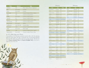 Llewellyn's 2027 Herbal Enchantment Planner: A Green Guide to Plant Magic