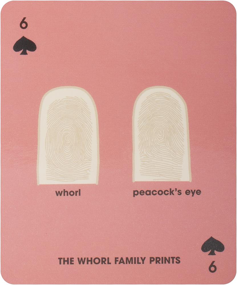 Read His Hands, Know His Heart (Book & 52-Card Deck)