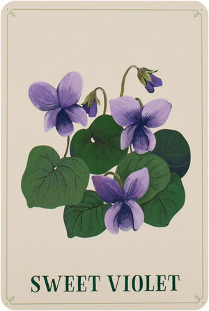 Enchanted Foraging Deck