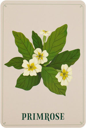 Enchanted Foraging Deck