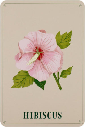 Enchanted Foraging Deck