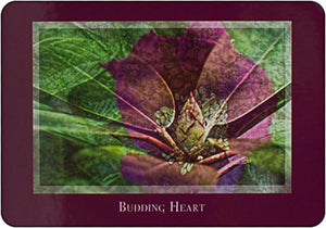 Gaia's Vision Oracle Cards