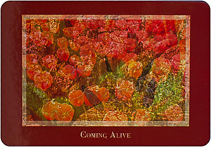 Gaia's Vision Oracle Cards