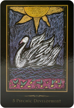 Shamanic Healing Oracle Cards
