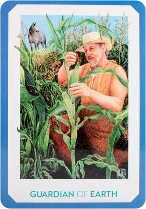 Gaian Tarot: Healing the Earth, Healing Ourselves