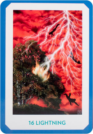 Gaian Tarot: Healing the Earth, Healing Ourselves