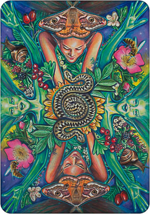 The Everyday Enchantment Tarot