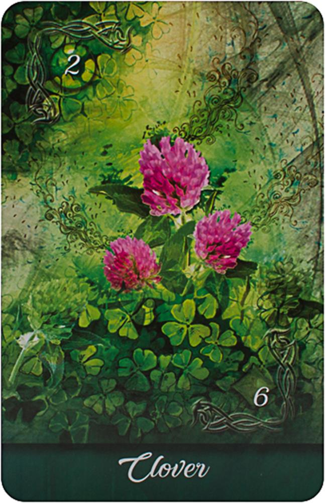 Mirror Truth Lenormand Cards