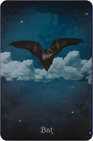 The Witch's Oracle, 2nd Edition