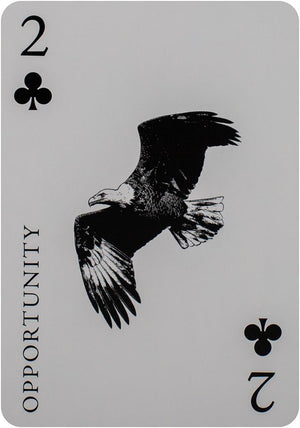 Inner Eye Oracle : A 52-Card Playing Deck for the Modern Age