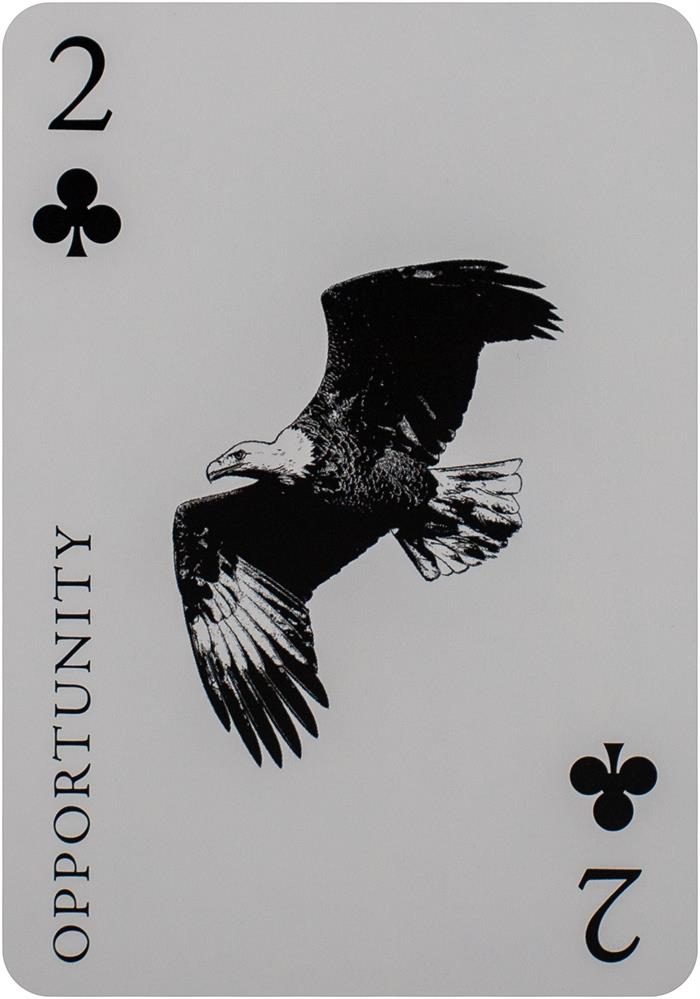 Inner Eye Oracle : A 52-Card Playing Deck for the Modern Age