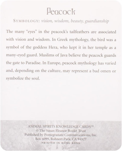 Animal Spirits Knowledge Cards
