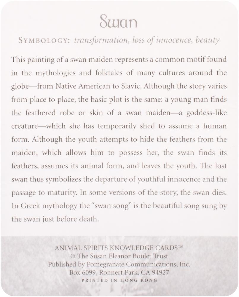 Animal Spirits Knowledge Cards (48 Card Deck)
