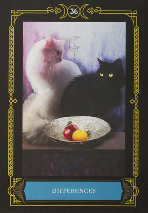 Wisdom of the House of Night Oracle Cards