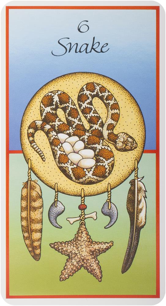 Medicine Cards: The Discovery of Power Through the Ways of Animals
