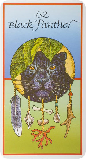 Medicine Cards: The Discovery of Power Through the Ways of Animals